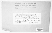 Image Associated With the Occurence